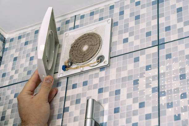Best Professional Duct Cleaning Services  in St Leo, FL