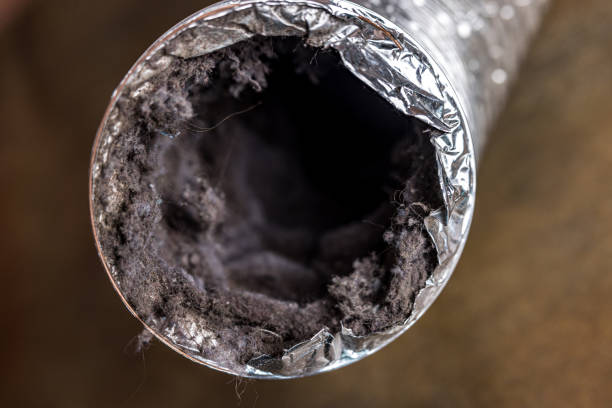 Trusted St Leo, FL Airduct Cleaning Experts